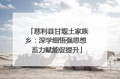 慈利县甘堰土家族乡：深学细悟强思想 蓄力赋能促提升
