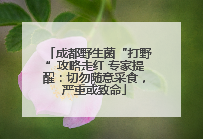 成都野生菌“打野”攻略走红 专家提醒：切勿随意采食，严重或致命