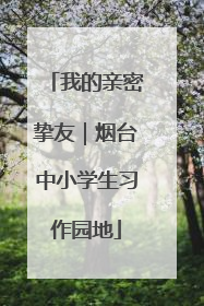 我的亲密挚友｜烟台中小学生习作园地