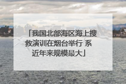我国北部海区海上搜救演训在烟台举行 系近年来规模最大