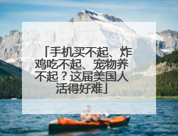 手机买不起、炸鸡吃不起、宠物养不起？这届美国人活得好难