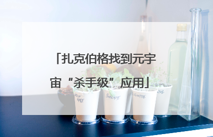 扎克伯格找到元宇宙“杀手级”应用