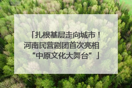 扎根基层走向城市！河南民营剧团首次亮相“中原文化大舞台”