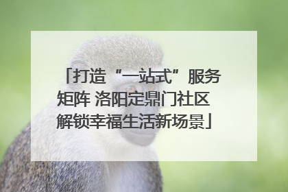 打造“一站式”服务矩阵 洛阳定鼎门社区解锁幸福生活新场景