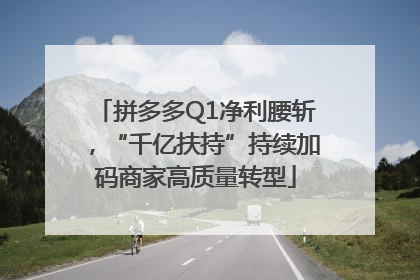 拼多多Q1净利腰斩，“千亿扶持”持续加码商家高质量转型