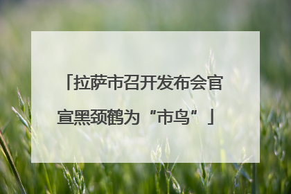 拉萨市召开发布会官宣黑颈鹤为“市鸟”