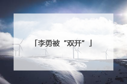 李勇被“双开”