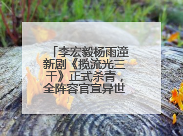 李宏毅杨雨潼新剧《揽流光三千》正式杀青，全阵容官宣异世界之旅将启
