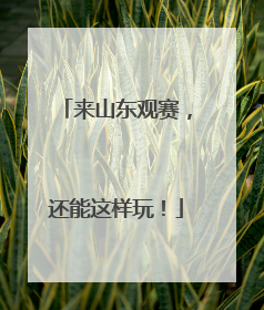 来山东观赛，还能这样玩！