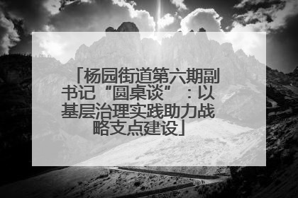 杨园街道第六期副书记“圆桌谈”：以基层治理实践助力战略支点建设