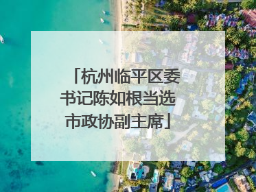 杭州临平区委书记陈如根当选市政协副主席