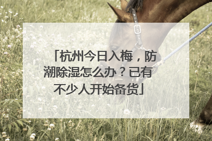 杭州今日入梅，防潮除湿怎么办？已有不少人开始备货