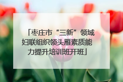 枣庄市“三新”领域妇联组织领头雁素质能力提升培训班开班