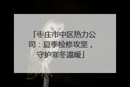 枣庄市中区热力公司：夏季检修攻坚，守护寒冬温暖