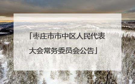 枣庄市市中区人民代表大会常务委员会公告