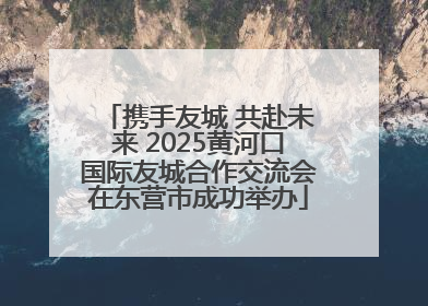 携手友城 共赴未来 2025黄河口国际友城合作交流会在东营市成功举办