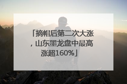 摘帽后第二次大涨，山东墨龙盘中最高涨超160%