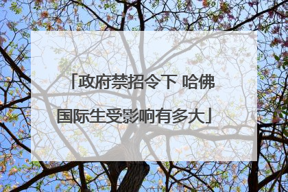 政府禁招令下 哈佛国际生受影响有多大