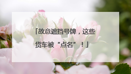 故意遮挡号牌，这些货车被“点名”！