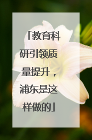 教育科研引领质量提升，浦东是这样做的