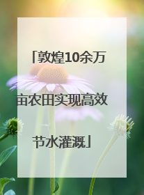 敦煌10余万亩农田实现高效节水灌溉