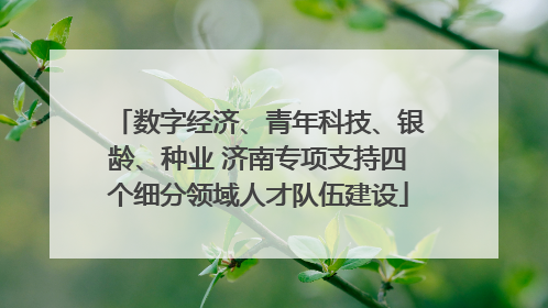 数字经济、青年科技、银龄、种业 济南专项支持四个细分领域人才队伍建设