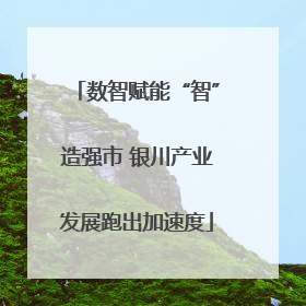 数智赋能“智”造强市 银川产业发展跑出加速度