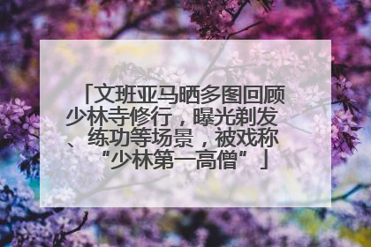 文班亚马晒多图回顾少林寺修行，曝光剃发、练功等场景，被戏称“少林第一高僧”