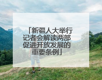 新疆人大举行记者会解读两部促进开放发展的重要条例