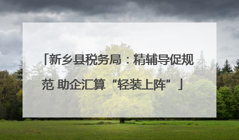 新乡县税务局：精辅导促规范 助企汇算“轻装上阵”