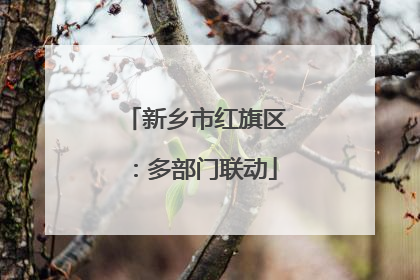 新乡市红旗区：多部门联动