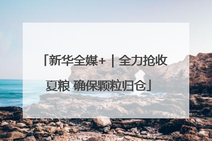 新华全媒+｜全力抢收夏粮 确保颗粒归仓