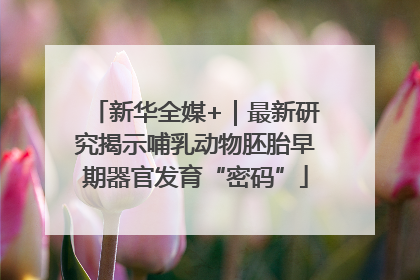 新华全媒+｜最新研究揭示哺乳动物胚胎早期器官发育“密码”