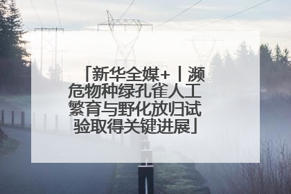 新华全媒+丨濒危物种绿孔雀人工繁育与野化放归试验取得关键进展