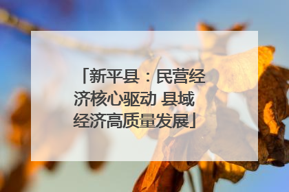 新平县：民营经济核心驱动 县域经济高质量发展