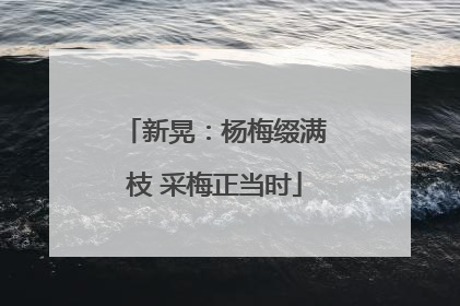 新晃：杨梅缀满枝 采梅正当时