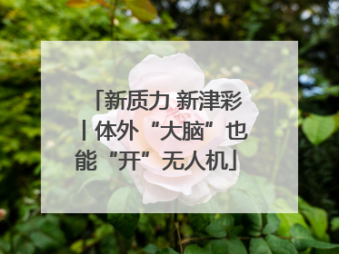 新质力 新津彩丨体外“大脑”也能“开”无人机