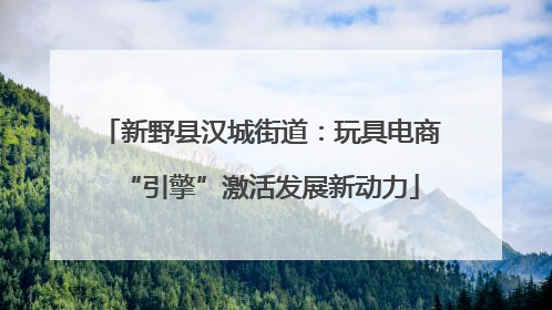 新野县汉城街道：玩具电商“引擎”激活发展新动力