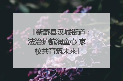 新野县汉城街道：法治护航润童心 家校共育筑未来