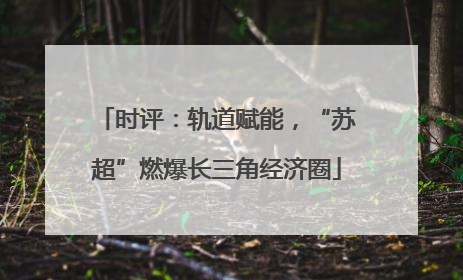 时评：轨道赋能，“苏超”燃爆长三角经济圈