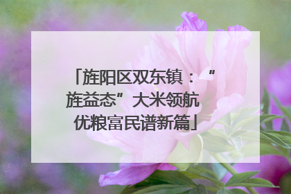 旌阳区双东镇：“旌益态”大米领航 优粮富民谱新篇