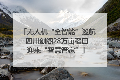 无人机“全智能”巡航 四川剑阁28万亩稻田迎来“智慧管家”