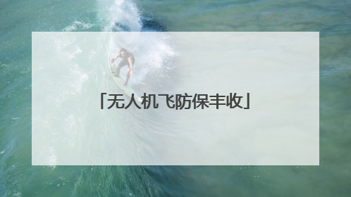 无人机飞防保丰收