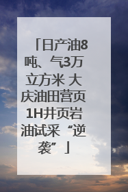 日产油8吨、气3万立方米 大庆油田营页1H井页岩油试采“逆袭”