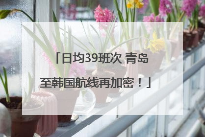 日均39班次 青岛至韩国航线再加密！