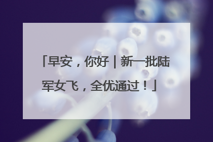 早安，你好｜新一批陆军女飞，全优通过！