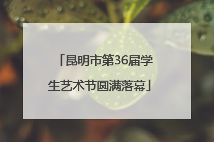 昆明市第36届学生艺术节圆满落幕