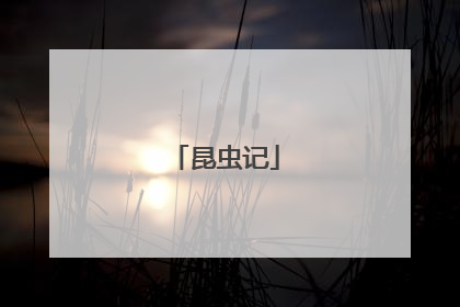 昆虫记