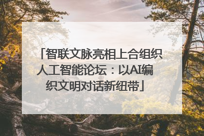智联文脉亮相上合组织人工智能论坛：以AI编织文明对话新纽带
