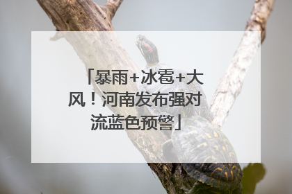暴雨+冰雹+大风！河南发布强对流蓝色预警